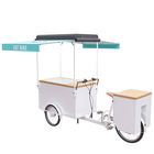 レトロの大きい貯蔵のアイス クリームの三輪車、EQTの電気アイス クリームのスクーター