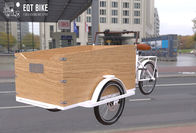 子供のための電気箱構造の三輪車の貨物バイク