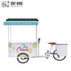 冷たい飲み物の通りビジネス販売のフリーザーのバイクの電気自転車のためのEQTのアイス クリームのバイクの三輪車の貨物