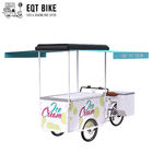 冷たい飲み物の通りビジネス販売のフリーザーのバイクの電気自転車のためのEQTのアイス クリームのバイクの三輪車の貨物