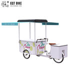 EQTの販売DCのための138Lか110L前部負荷三輪車のアイス クリームのバイクはフリーザーの三輪車のカートの食糧Trikeに動力を与えた